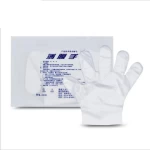 Food Grade Certified PE Poly Civilian Clear Transparent Kitchen Food Cleaning Thick Disposable Gloves