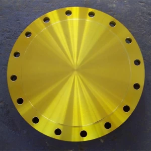 forged stainless steel 24 inch blind flange high pressure