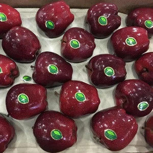 Fresh Apples Red Chief Red Delicious Greek origin