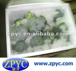 Fresh Broccoli
