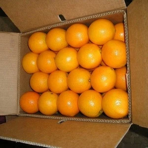 Fresh Citrus Fruits, Juicy Oranges