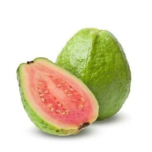 Fresh Guava /Fresh Guava high quality for sale