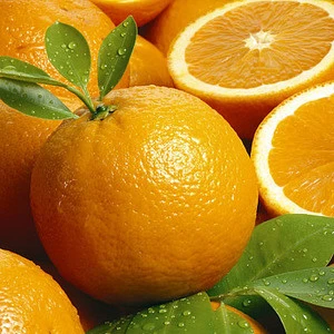 Fresh Oranges in Fresh Citrus Fruit