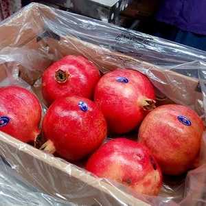Fresh Pomegranates with hot sale