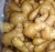 Import Fresh Yellow Ginger For Sale Bulk Wholesales With High Quality from China