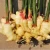 Import Fresh Yellow Ginger For Sale Bulk Wholesales With High Quality from China