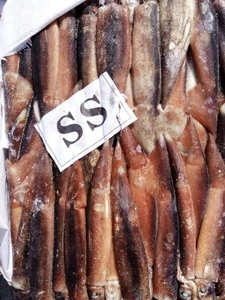 Frozen seafood Frozen illex argentina squid illex squid for sale 100-150, 150-200, 200-300
