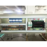 Frozen Vegetable Flow Spinach Packing Machine