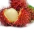 Import Frozen Whole Rambutan, Frozen Fruit from Vietnam