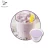 Import Fruit flavor beverage product bubble tea powder from Taiwan