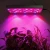 Full Spectrum Red and Blue Plant Lamp 150W LED Grow Light for Indoor Plant