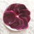 Import Gold seller High quality Red and White Dried Dragon Fruit from China