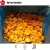 Import good quality IQF Frozen fruits Apricot halves with best price from China