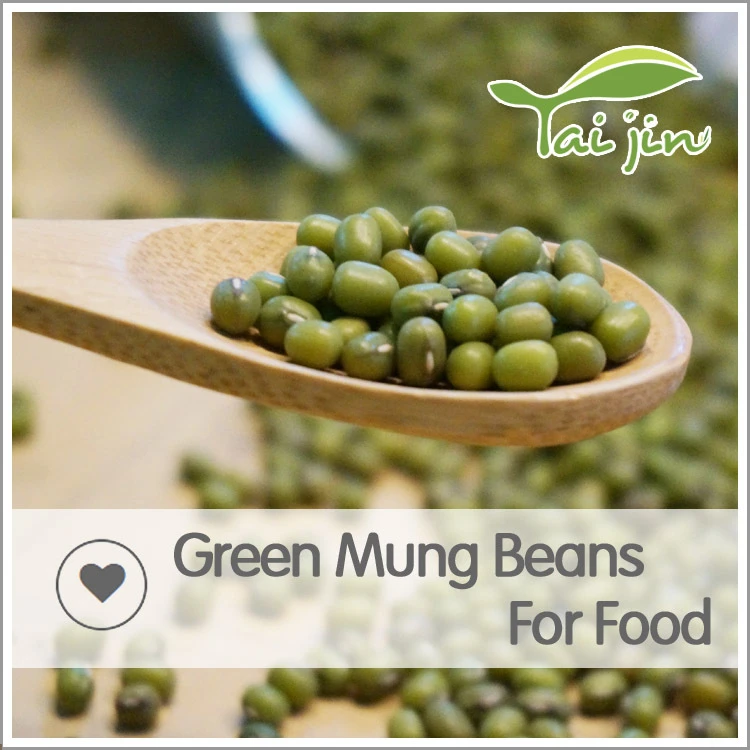 Good Quality Raw Green Mung Beans