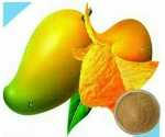 Great fruit drink Thai Tastes Instant mango drink premium fruit juice/powder drink , natural product high quality from fresh ma