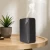 Import Green Air Smart App Controlled Essential Oil Diffuser Aroma Air Purifier diffuser Scent Machine from China