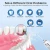 Import H2ofloss Factory Wholesale 300ml Oral care water dental flosser 5 Modes Portable Water Flosser Oral Irrigator from China