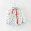 Hao Baby Korean Childrens Clothing Wholesale New Solid Color Multi-Print Diagonal Zipper Windbreaker Autumn Childrens Jacket