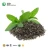 Import Health food extract plant extract Green tea leaf extract Tea polyphenol from China