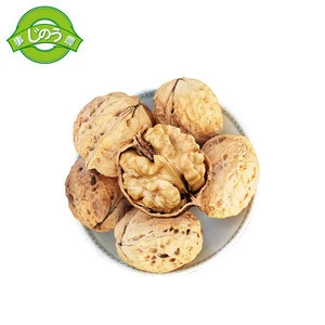 Healthy delicious snack full nutrition sale round serr walnut Kernel