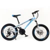High-carbon Steel Adult Bike,Suspension Fork Disc Brake Road Bike Bicicletas,Mountain Bicycle for sale