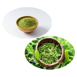 High Quality Bio Green Tea Extract Powder Wholesale 98% Egcg 80% Catechins
