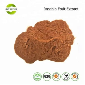 High quality food grade rosehip fruit extract