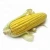 Import High Quality Freeze Dried Yellow Sweet Corn with Low Price from China