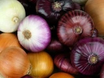 HIGH QUALITY   fresh yellow onion FOR SALE