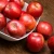 Import high quality hot sale red fuji apple/Wholesale Royal Gala Apples From South Africa from Singapore