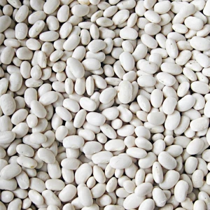 High Quality Japanese Type Dried White Kidney Bean