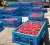 Import High quality plastic vegetable crates, folding plastic tomato crate, plastic fruit crates for sale from China