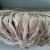 Import High Quality Raw Jute Supplier from Bangladesh from Bangladesh