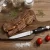 Import High Quality Stainless Steel Steak Knife Set with Wood Block from China