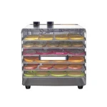 Hot Sale 6 Trays Stainless Steel Home Food Dehydrator Small Fruit Drying Processor