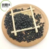 Hot Sale Chinese Origin Small Black Lentil Beans/Export Black Kidney Beans