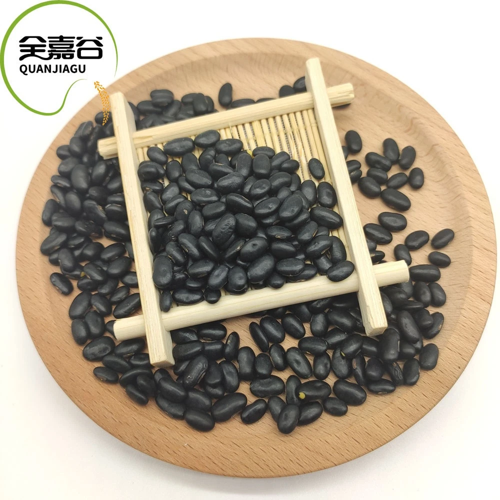 Hot Sale Chinese Origin Small Black Lentil Beans/Export Black Kidney Beans