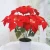 Import Hot sale Christmas ornament flower Poinsettia bonsai with best price from China