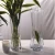Import hot sale design plant vase flower vase from China