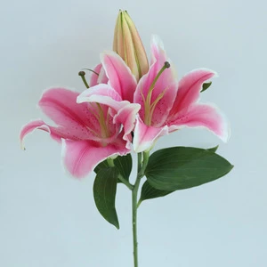 Hot Sale Factory Direct Sell Large Marlon Lily Flowers Fresh Flower From Kunming