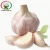 Import [Hot Sale] Garlic price/Fresh Garlic specification from China