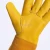 Import Hot sale women Mens leather gloves gauntlet puncture thron poof gardening work leather winter gloves from China