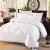 Import Hot Selling High Quality 100 goose down jacquard duvet cover sets from China