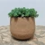 Import Hot Selling New Cork Flowerpot Various Shape Garden Basket High Quality Planter Pot Succulent Planter for Wholesale from China