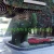 Import Hot selling stunning Artificial Garden Decoration Topiary Animal  Boxwood  Green Plant from China