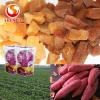Hot sells sweet Potatoes Snacks healthy food