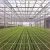 Import Hydroponics Tomato Greenhouse with Pc Sheet Cover China Multi-span Agricultural Greenhouses Glass Large from China