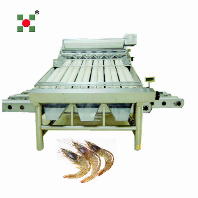 industrial prawns processing grading equipment/shrimp grading machine