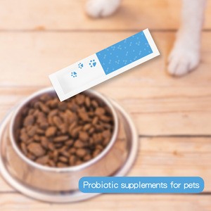 Intestinal health supplements for dogs and cats probiotic pet health help support intestinal and stomach functions