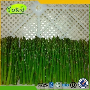 IQF Fresh Frozen green white Asparagus Price